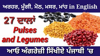 Indian Pulses and Legumes with names and pictures