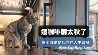 在泰國春武里府這荒郊野外，有間令人療癒的咖啡廳？畫室？寵物用品店？/ 這裡的浪貓讓人們可以思考很多人生哲理 / Rooth Café Bang Saen & Merry Pet Home / 泰國邦賢