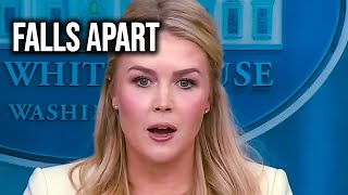 Trump Press Secretary BLINDSIDED After Fox News Corners Her On Epstein Cover Story