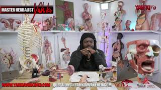 BREAKING THE PROGRAMING OF BLACK MINDS GLOBALLY!! YOUR MISEDUCATION IS KILLING YOU!