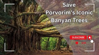 LIVE: Save Porvorim’s Iconic Banyan Trees | Candlelight Protest Against Betrayal | Tree face fear