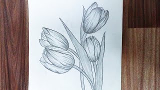 Easy Tulips Drawing For Beginners|| flower drawing tutorial