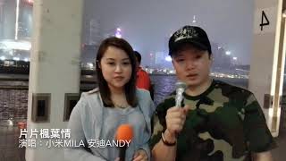 片片楓葉情 - 小米MILA 安迪ANDY (2018.11.21)