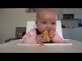 first week of baby led weaning time lapse