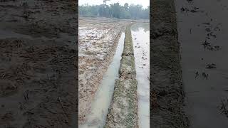 গ্রামবাংলায় ধান চাষের আগে এইভাবে নাঙ্ঘল করে ধান উপযুক্ত জমি তৈরি করা হয় @#Ghorkonne Arpita @