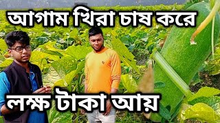 খিরা চাষ করে লক্ষ টাকা হাতিয়ে নিলেন। কৃষকের মুখে হাসি। This time the price of Sasha