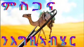 ምስጋና ንእግዚኣብሄር ይግባእ 3/3  Msgana N Egziabhier ygbae