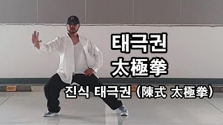 진식 태극권 : 투로 오버뷰 (Chen Taichi : Overview)