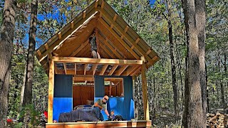 Off Grid Cabin Build: Walls and Roof (part 2)