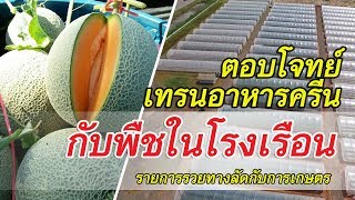 รวยทางลัดกับการเกษตร | พืชในโรงเรือน | เกษตรแม็กซาโก้ (1/3)