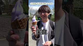 【北海道あるある】紫色のソフトクリームがある #shorts