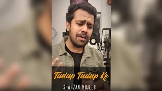 Tadap Tadap Ke (Slowed + Reverb) | Salman Khan | Hum Dil De Chuke Sanam | KK | Ismail Darbar