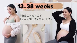 Pregnancy Transformation | Week by Week | 13 to 38 weeks.(with baby boy.TinTin)