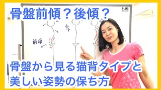 骨盤前傾？後傾？ 骨盤から見る猫背タイプと美しい姿勢の保ち方