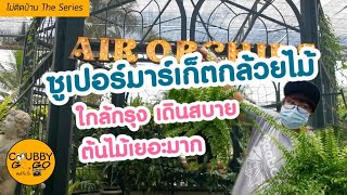 Air Orchids ซุปเปอร์มาร์เก็ตกล้วยไม้ ที่ไม่ได้มีแค่กล้วยไม้ | ไม่ติดบ้าน EP27