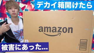 【購入品】Amazonから届いたデカイ箱開けたら被害にあいました...