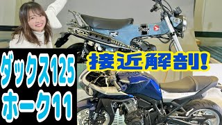 ホンダ新型ダックス125.ホーク11乗車⁉︎レポート【Dax125・HAWK11】