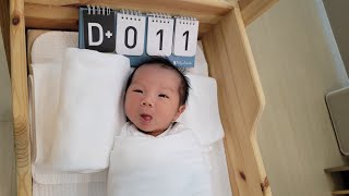 [육아일기] 또롱이 D+11 / 목소리 쩌렁쩌렁한 또롱이 l Korean Baby Parenting Diary