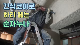 건식코아드릴로 하리(보) 천공 / 야간 뿌레카 /세상불쌍한 순자누나 /