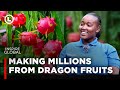 I started dragon fruit farming with my husband, we are now making millions | Lynn Ngugi Network