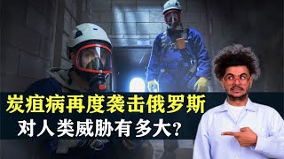 炭疽病再度袭击俄罗斯，引发生化武器之忧，对人类威胁有多大？