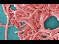 Indianapolis Healthplex temporarily closes after some members get legionnaires' disease