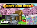 Unbelievable Minecraft Spawn: 10+ Diamonds💎 & 2 Golden Apple🍎 || God Seed ||