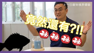 毛小孩過世後，除了傷心然後呢？｜月亮上有貓 feat. 後來福務所