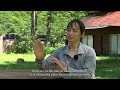 ［trailer］search for beautiful char that live in unexplored areas【mountain stream fishing in japan】