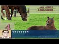 【ダビつく5】競馬オタクの馬主生活 中央gⅠ全制覇へ part55