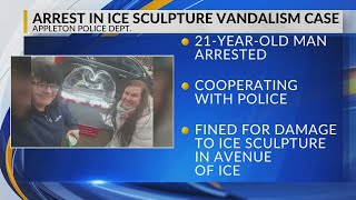 Appleton Police & Center for Suicide Awareness provide update on vandalized ice sculpture, suspect
