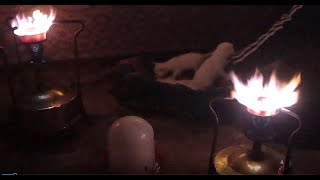 خروج القطط الصعيرة من مخبئها🔥🔥🔥Kerosene Stove White Noise Relaxation