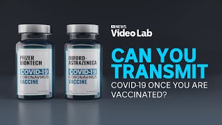 Can vaccinated people still transmit COVID-19? | ABC News