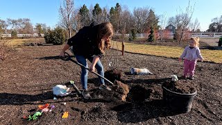 Planting a Serviceberry & Miniature Peach + Flower Bed Cleanup! 💚🍑🌿 // Garden Answer