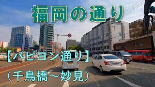 福岡の通り　㉜パピヨン通り（千鳥橋→妙見）