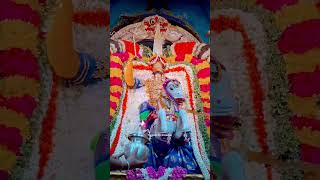 Mylapore Sri Karpagambal Navaratri Utsavam 2022 Day 7 Kuthirai Vahanam Meenakshi Alangaram