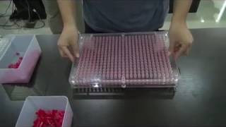 400pcs Manual capsule filling machine   10Youtube com