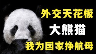 沒有國家能夠拒絕大熊貓的誘惑🐼🐼🐼外國人為了食鐵獸可以有多卑微？ | 通文解武