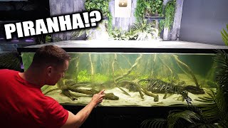 700 gallon PIRANHA fish tank!?