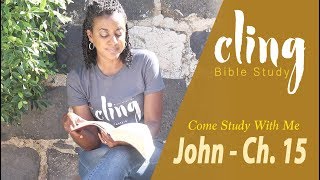 CLING | John - Ch. 15 | Come Study With Me