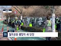 nib 뉴스 인천시 월미공원 봄맞이 새 단장