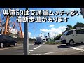 【ロードバイクゆるぽた】利根大堰・緑のヘルシーロードで行ってみた！自然観察室はおススメだ！