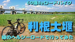 【ロードバイクゆるぽた】利根大堰・緑のヘルシーロードで行ってみた！自然観察室はおススメだ！