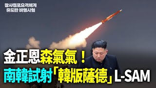 金正恩森氣氣！南韓試射「韓版薩德」L-SAM【94要客訴】