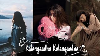 Kalangaadha kalangaadha Neeyum nenjukulla whatsapp status #shorts #jaibhim #youtubeshorts #trending