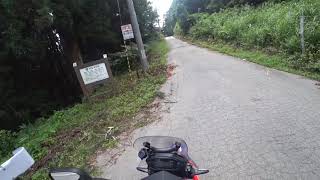 CRF250rallyで行く林道新田線