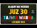 Murottal AlQuran Merdu Juz 30 - Juz Amma By Muhammad Hijazi - (Tajwid Berwarna)