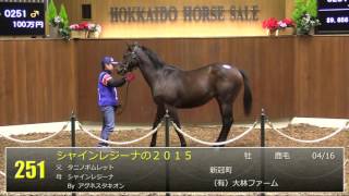 2016北海道オータムセール 2日目 上場番号242～300