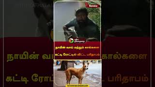 நாயின் வாய் மற்றும் கால்களை கட்டி ரோட்டில் விட்ட பரிதாபம் | கோவை | #coimbatore | #shorts