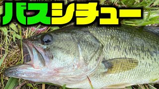 池のバス全部食べる！（バスシチュー）